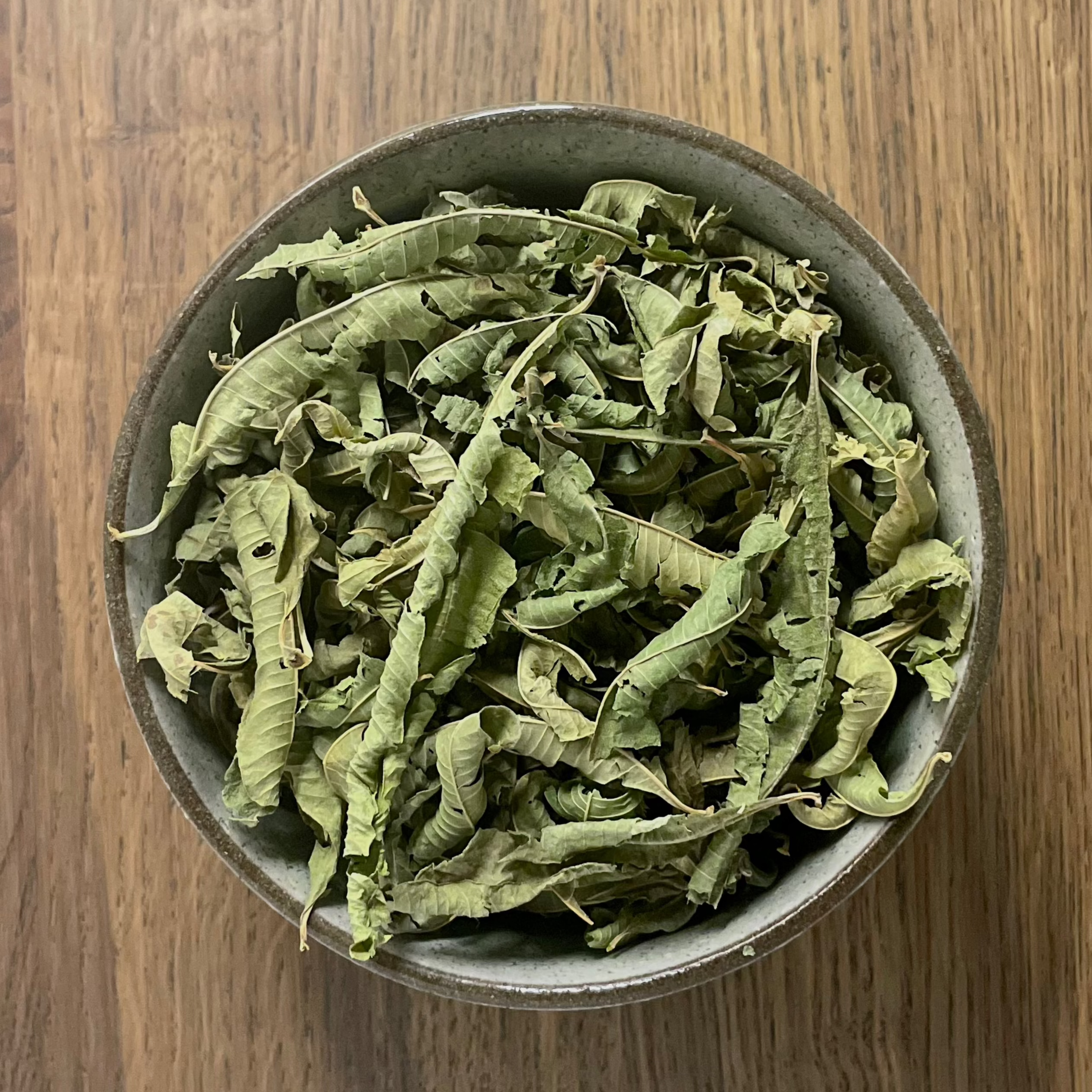 Eisenkraut Herba Verbene // N°521